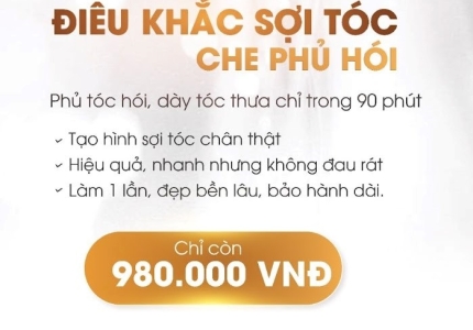 Che phủ túc thưa, tóc hói cho nam nữ bằng điêu khắc sợi tóc