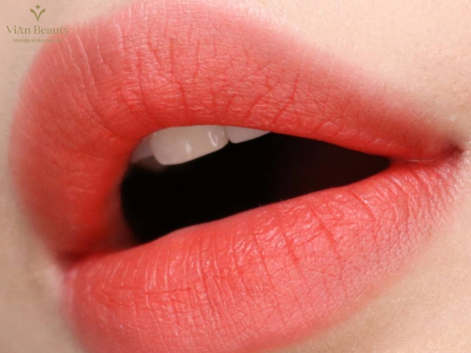 Màu Phun Môi Cam Đào – Tông Màu Tươi Trẻ, Dễ Ứng Dụng