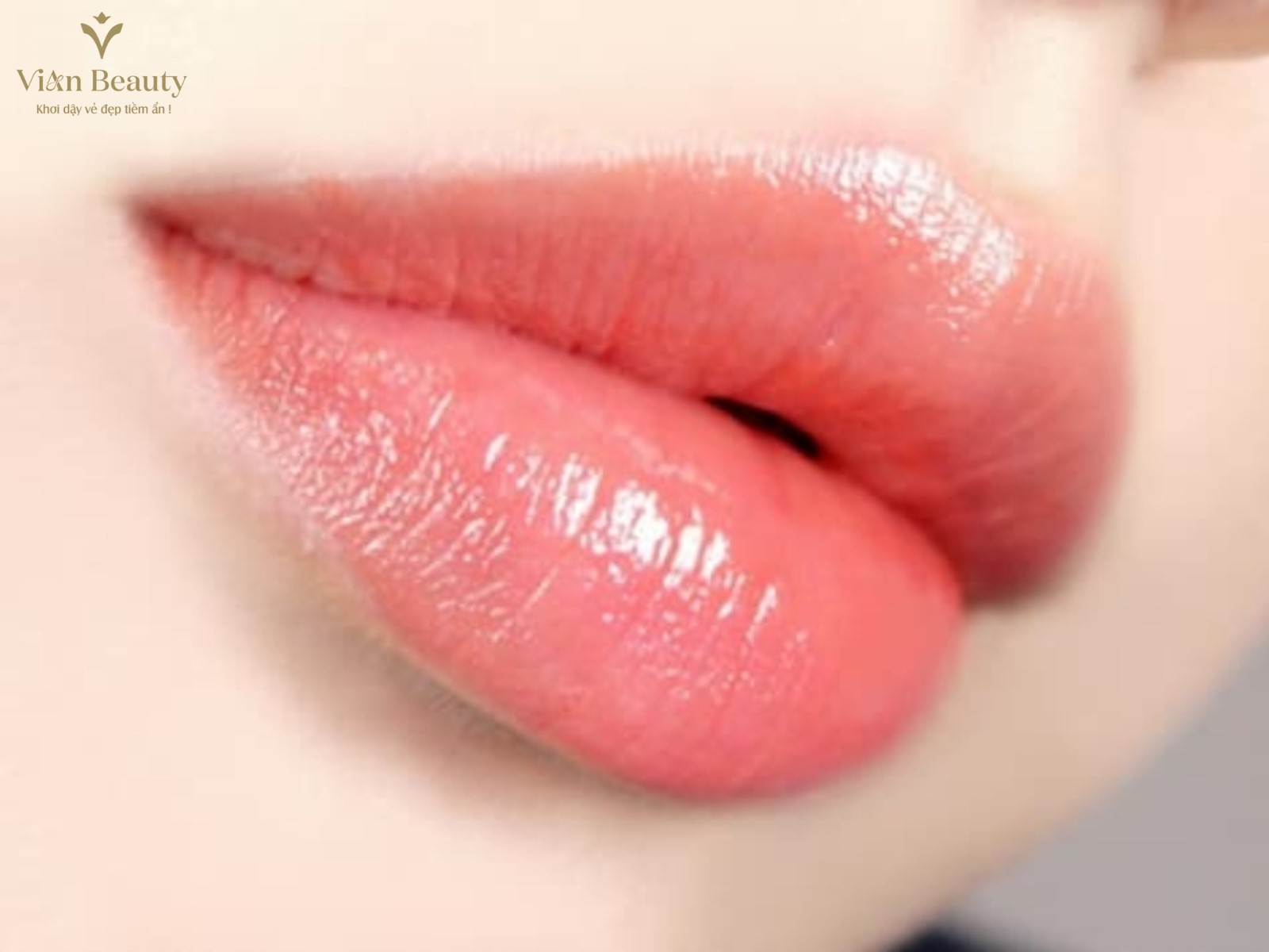 Màu Phun Môi Hồng Cam – Sự Hòa Quyện Giữa Ngọt Ngào Và Tươi Tắn