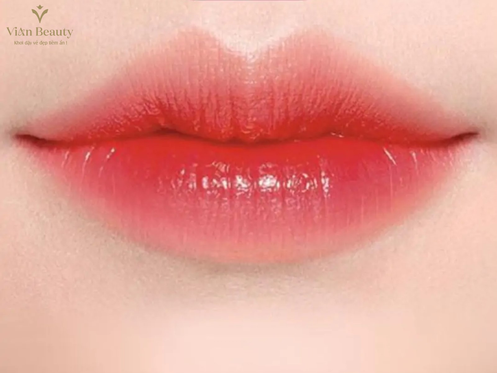 Màu Môi Xí Muội – Phong Cách Ombre Đầy Cá Tính