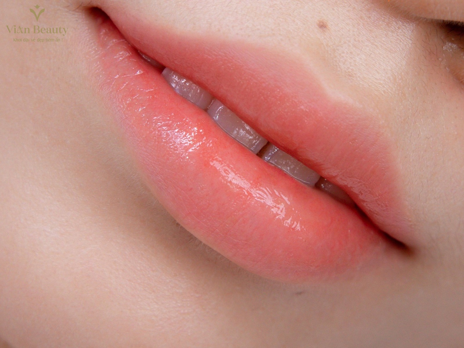 Phun Môi Màu Hồng Cam Sữa – Sự Pha Trộn Tinh Tế Giữa Nhẹ Nhàng Và Thanh Lịch