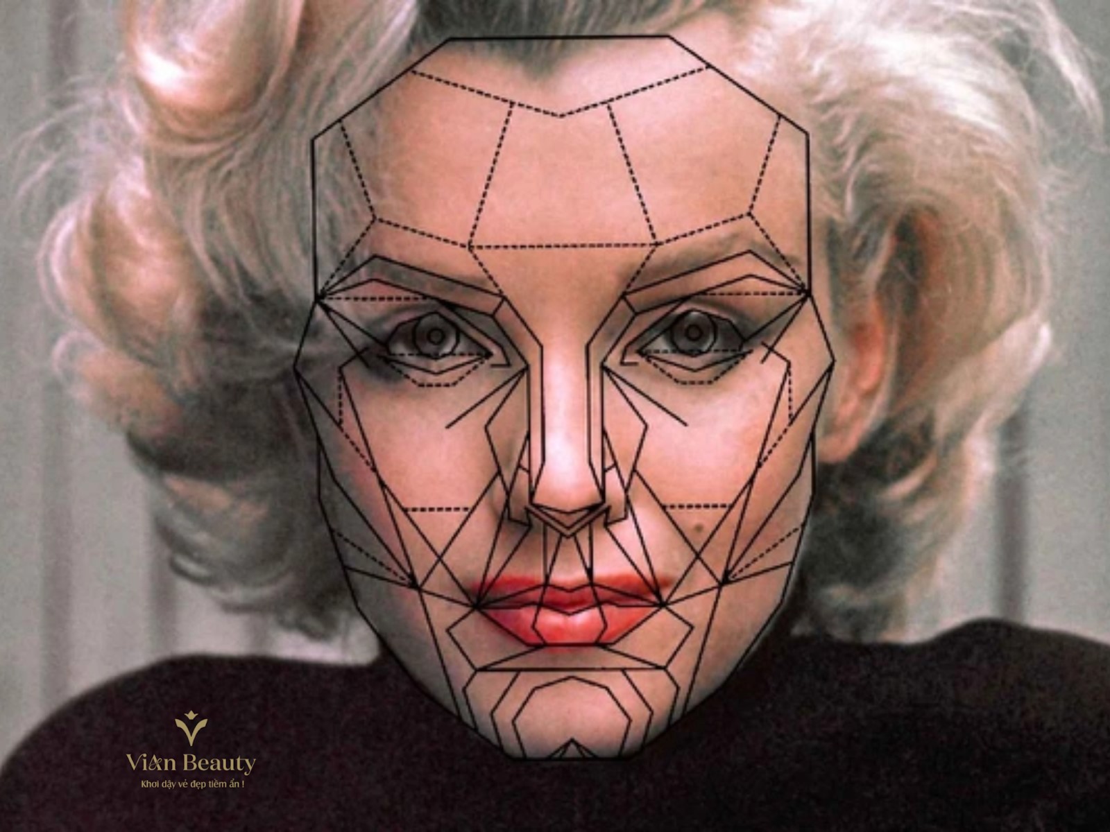 Tỷ Lệ Vàng Không Phải Là Tiêu Chuẩn Duy Nhất Để Đánh Giá Vẻ Đẹp