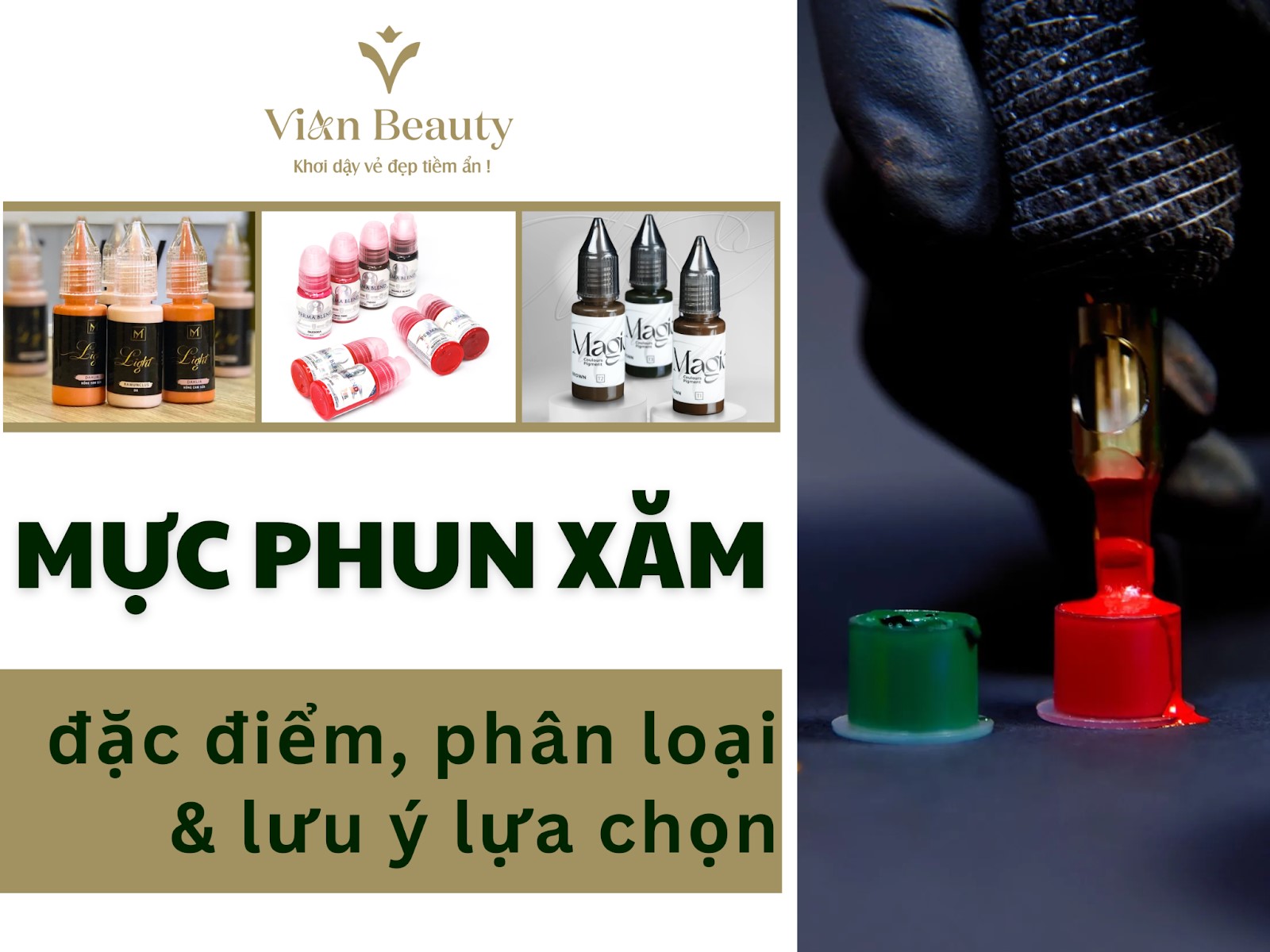 Mực Phun Xăm: Đặc Điểm, Phân Loại Và Lưu Ý Lựa Chọn
