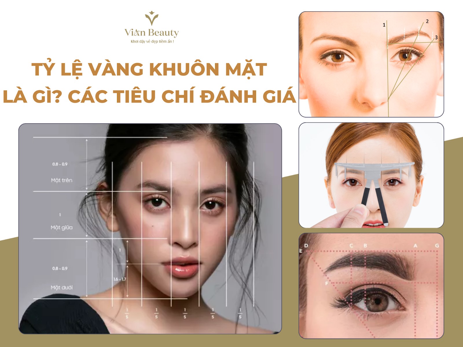 Tỷ Lệ Vàng Khuôn Mặt Là Gì? Các Tiêu Chí Đánh Giá