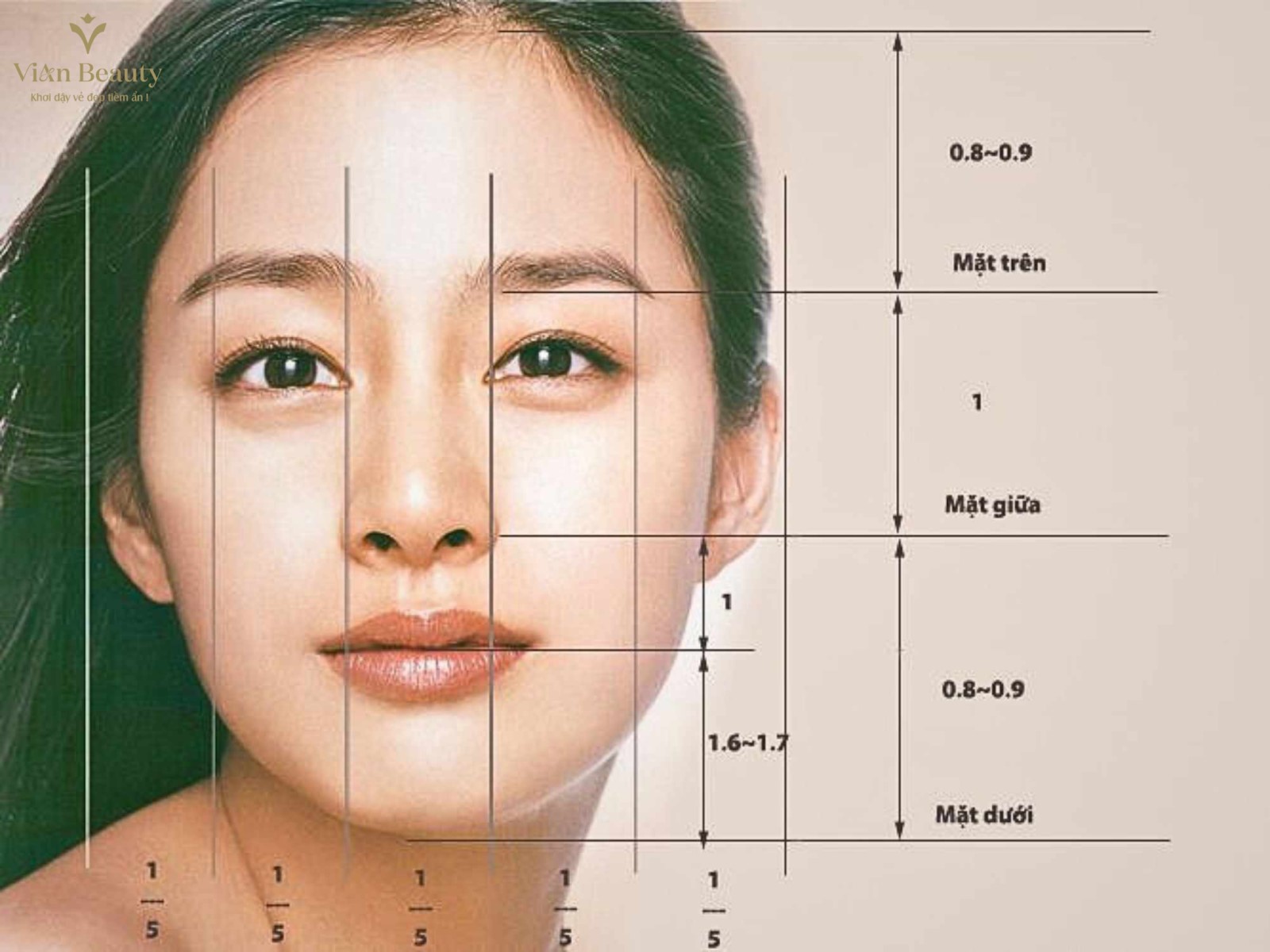 Tỷ Lệ Vàng Khuôn Mặt Nữ
