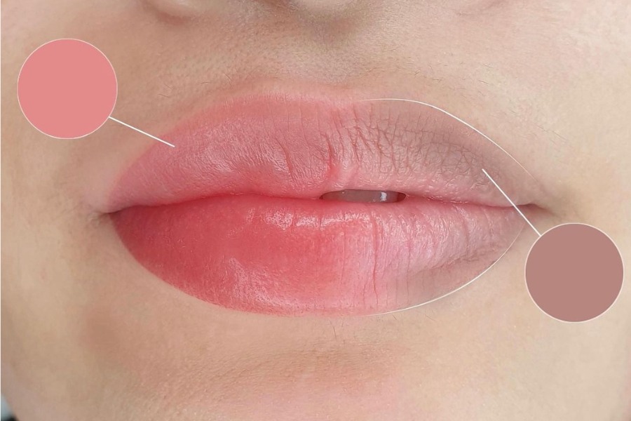 Khu Tham Moi Co Dau Khong Bao Lau Len Mau 1