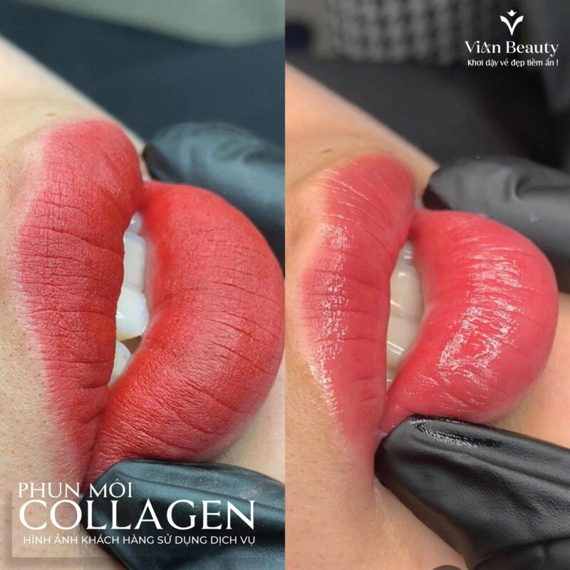 So Sanh Phun Moi Collagen Va Ombre Chi Tiet Nhat 1